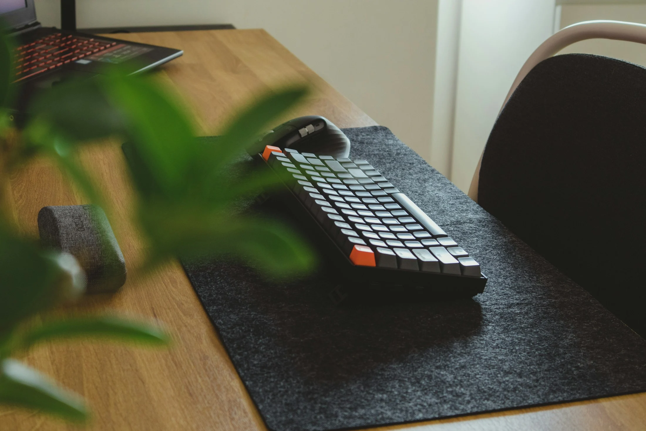 Compact keyboard and mouse on a timber desk beside a plant